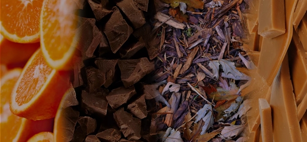The Macallan Double Cask Tasting Notes 12 YO Palate