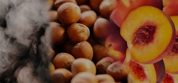 the macallan whisky tasting notes visual