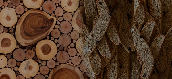 the macallan whisky tasting notes visual
