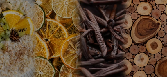 the macallan whisky tasting notes visual