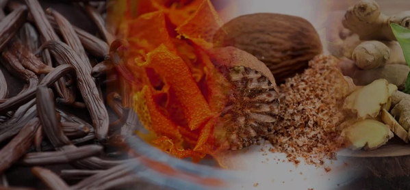 the macallan whisky tasting notes visual