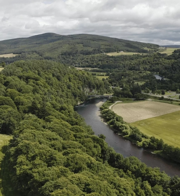 The Macallan Estate from above