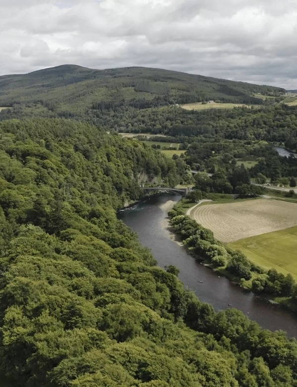 The Macallan Estate from above