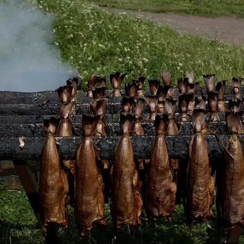 The Macallan Distilling Scotland Fish Cooking