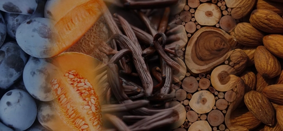 the macallan whisky tasting notes visual