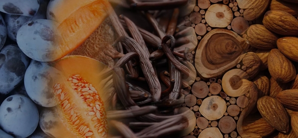 the macallan whisky tasting notes visual