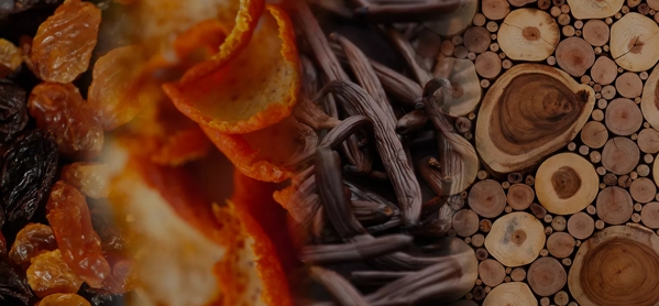 the macallan whisky tasting notes visual