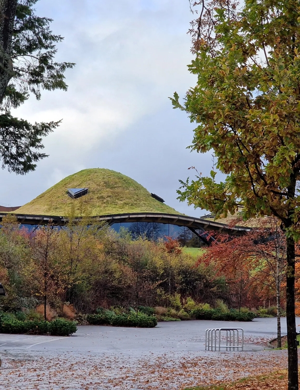 Autumn at The Macallan Distillery