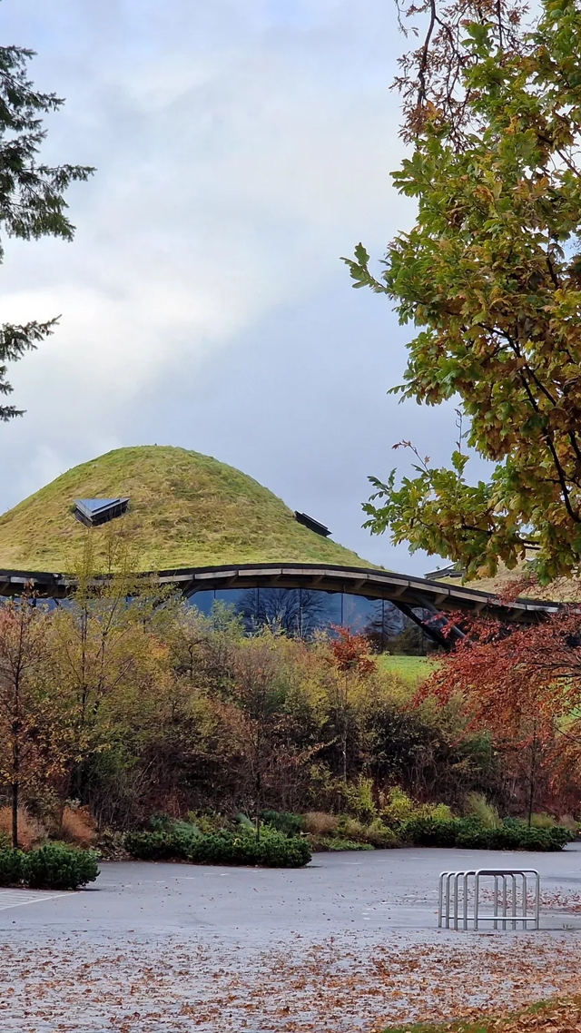 Autumn at The Macallan Distillery