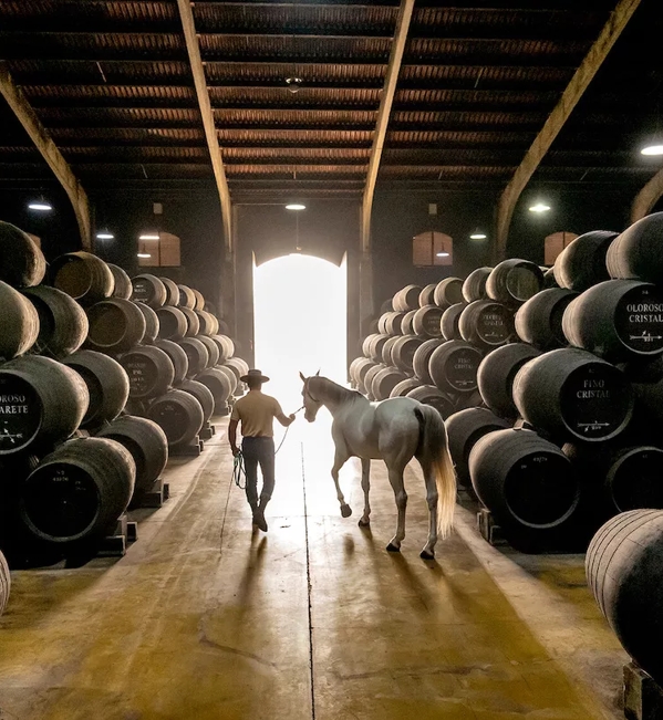 man and horse in bodega with casks