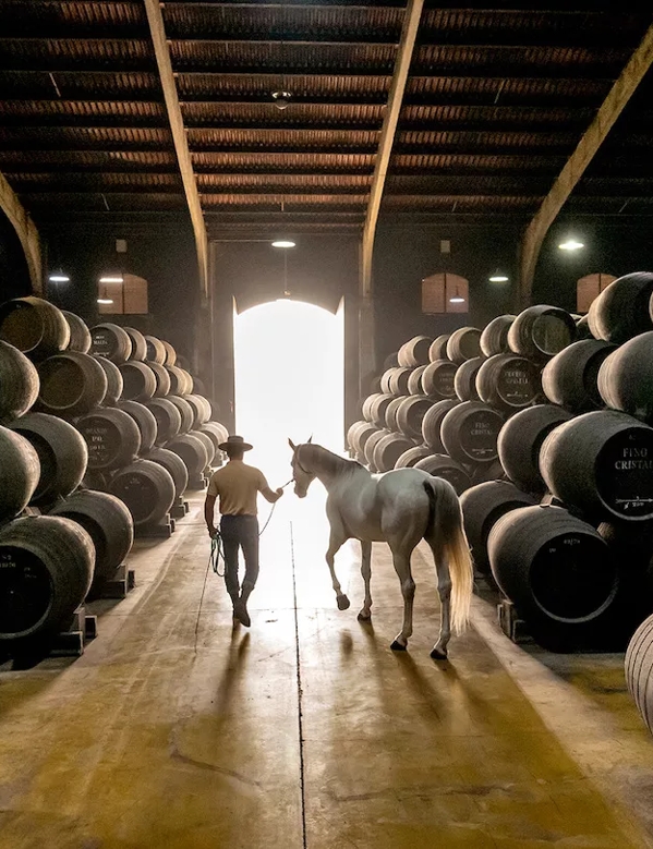 man and horse in bodega with casks