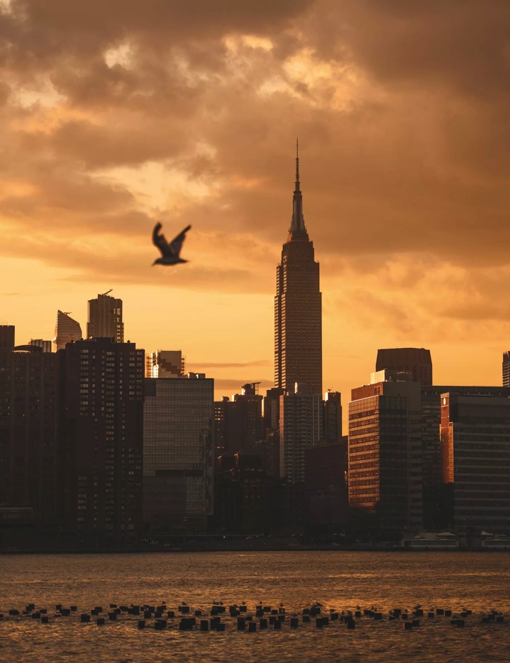 The Macallan Distil Your World New York Cityscape Detail