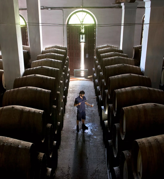 man with casks in sherry bodegas