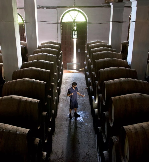 man with casks in sherry bodegas