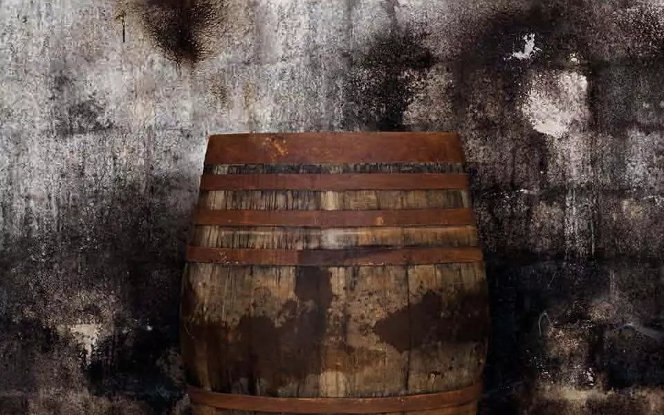 The Macallan Masters of Photography Alec Soth Cask Against Stone Wall