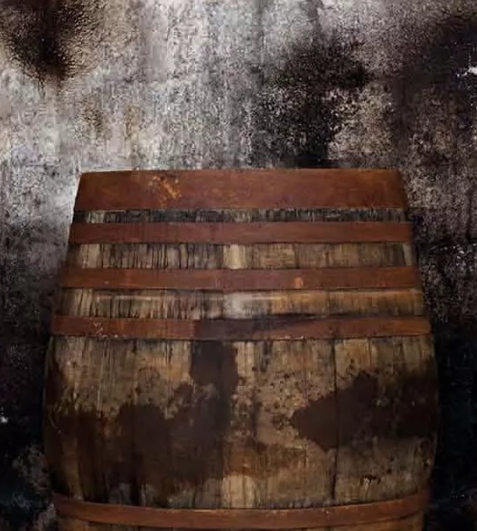 The Macallan Masters of Photography Alec Soth Cask Against Stone Wall