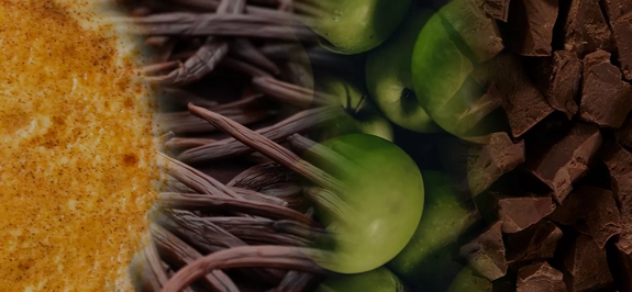 the macallan whisky tasting notes images