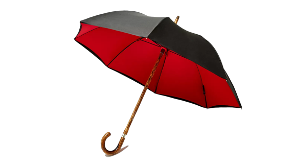 umbrella
