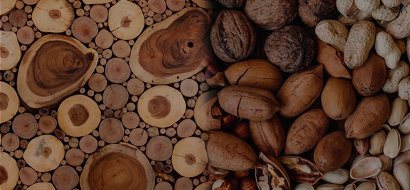 the macallan whisky tasting notes visual