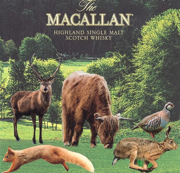 sir peter blake the macallan whisky collaboration