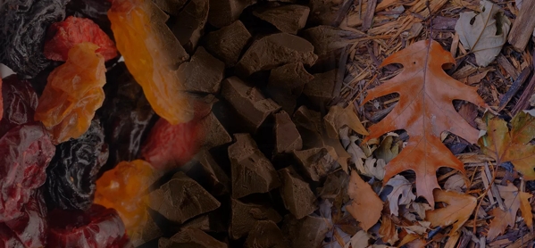 the macallan whisky tasting notes visual