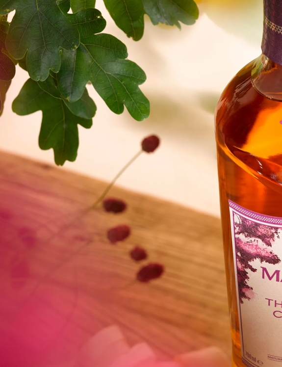 the macallan harmony IV collection whisky bottle