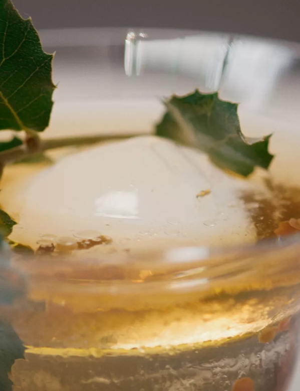 The Macallan Distil Your World Jerez Cocktail