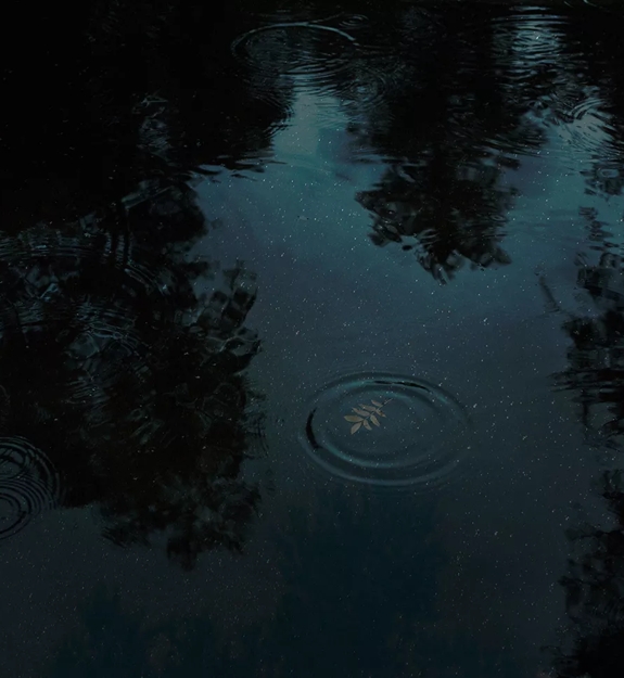 The Reach Water Image
