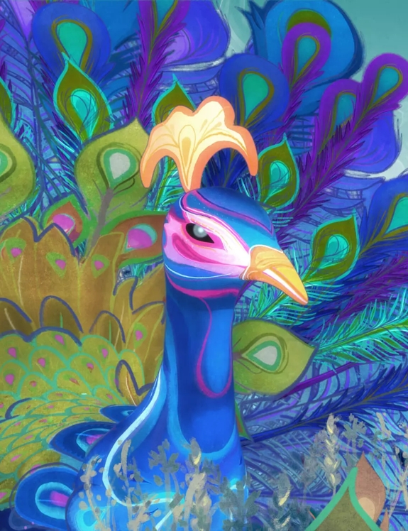 peacock illustration