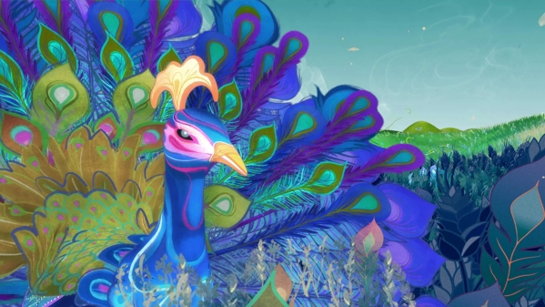 peacock illustration