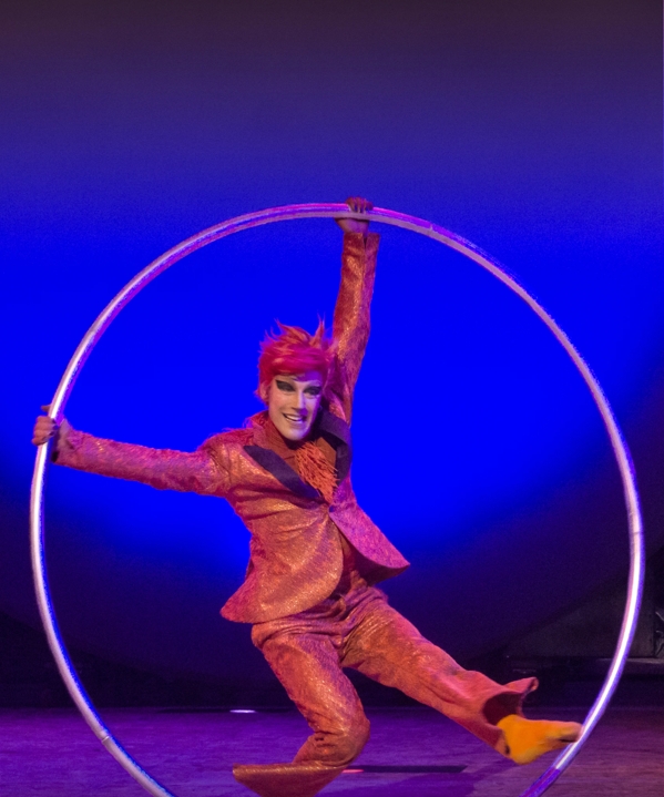 the macallan and cirque du soleil spirit