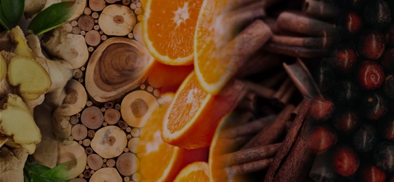the macallan whisky tasting notes visual
