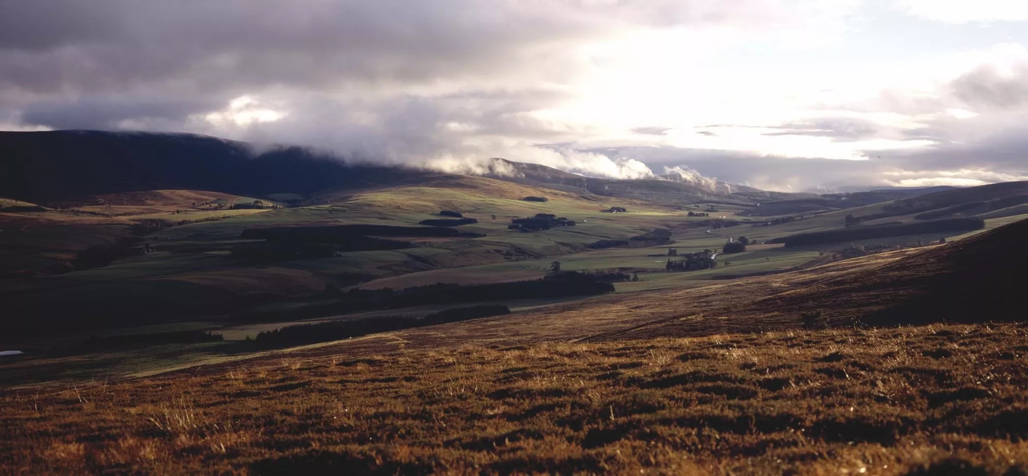 Scenery in Speyside