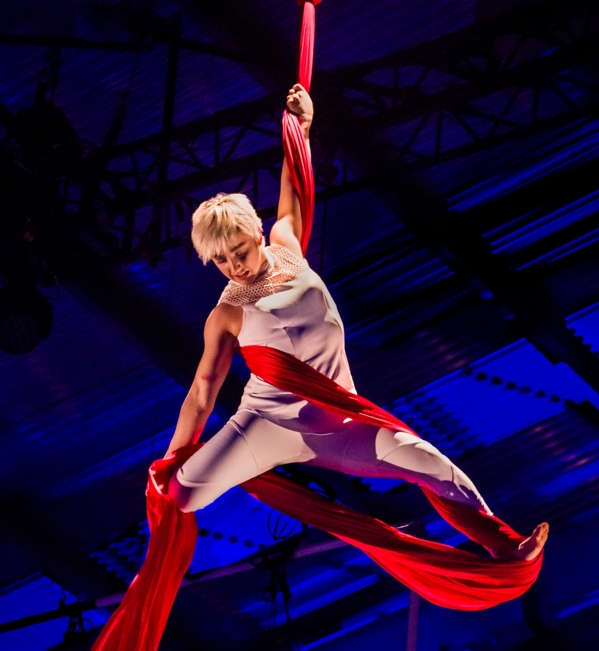 the macallan and cirque du soleil spirit