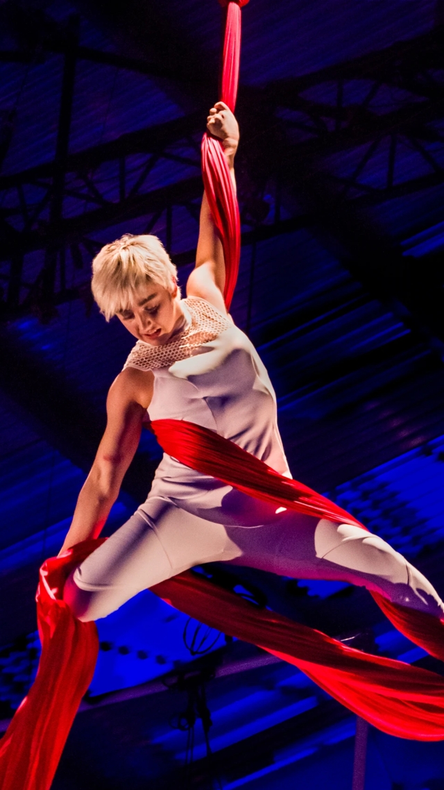 the macallan and cirque du soleil spirit