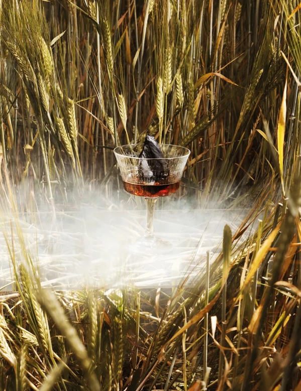 The Macallan Serves in Barley