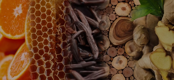 the macallan whisky tasting notes visual