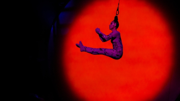 the macallan and cirque du soleil spirit