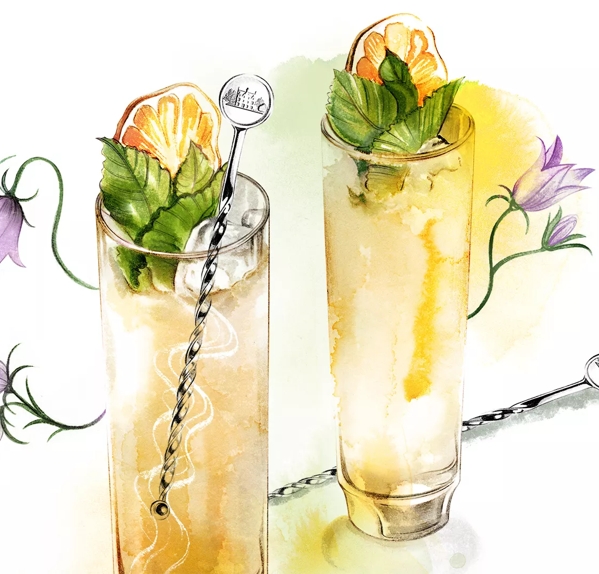 The Macallan Lifestyle Collection Stirrers Illustration with Two Cocktails