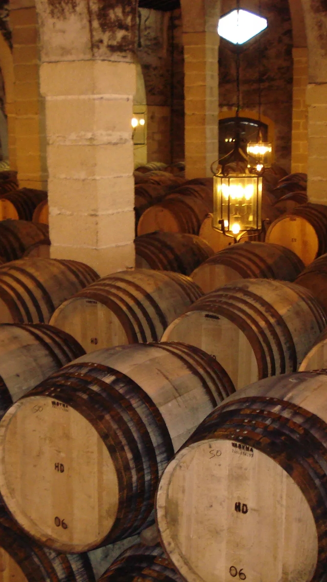 The Macallan Cask in Cooperage