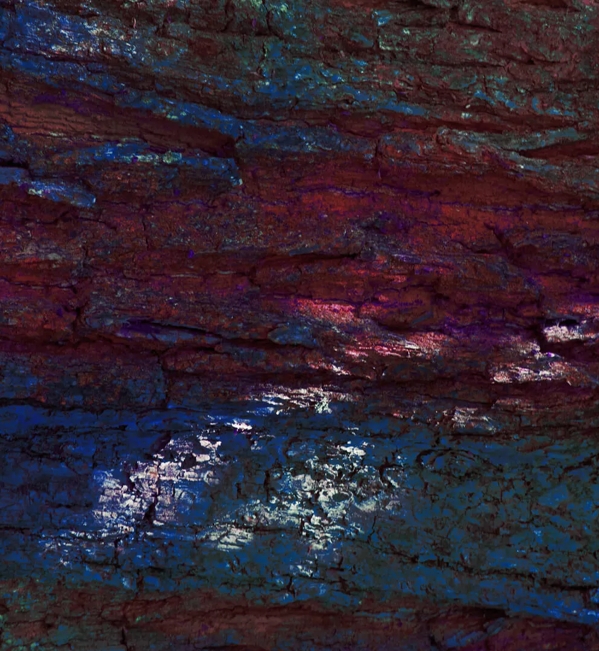 Erik Madigan Heck Abstract Photography Bark from The Oak for The Macallan Double Cask
