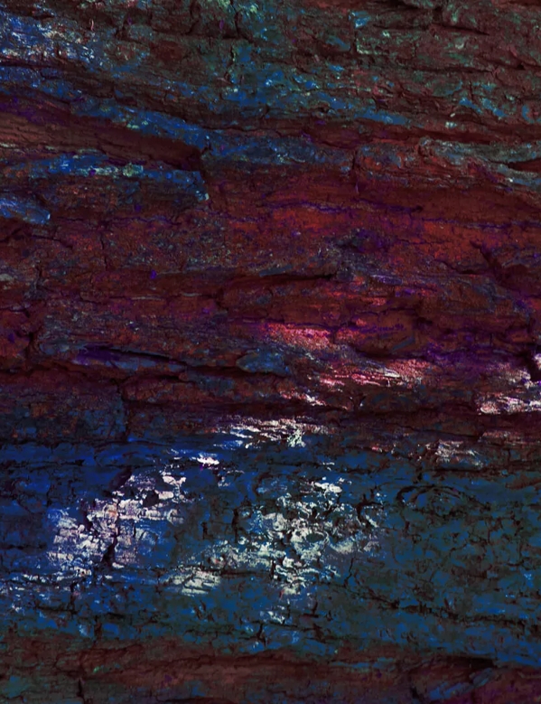 Erik Madigan Heck Abstract Photography Bark from The Oak for The Macallan Double Cask