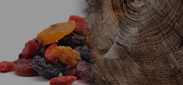 the macallan whisky tasting notes visual