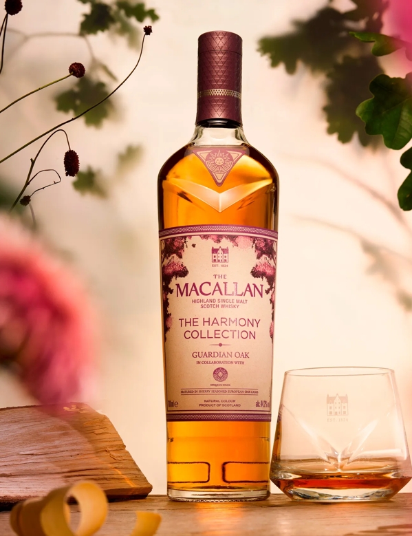 the macallan harmony IV collection whisky bottle