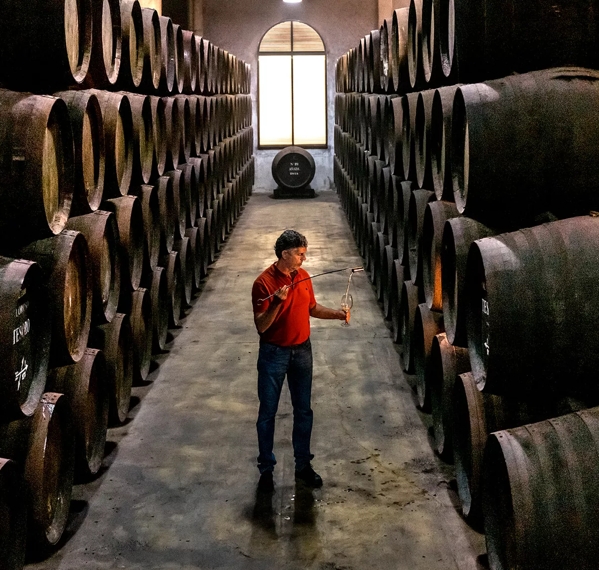 man checking casks in bodega