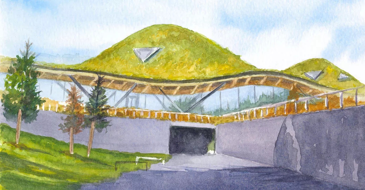 the macallan estate watercolour illustration