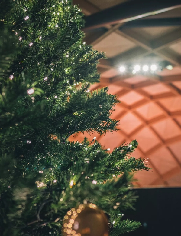 christmas tree in macallan distillery