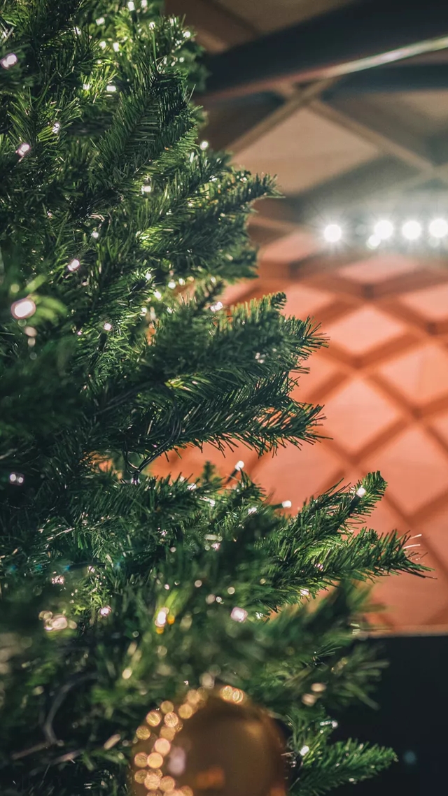 christmas tree in macallan distillery