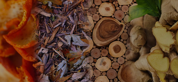 the macallan whisky tasting notes visual