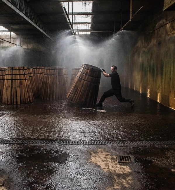 the macallan whisky casks production man with barrel 
